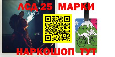 индика Аргун