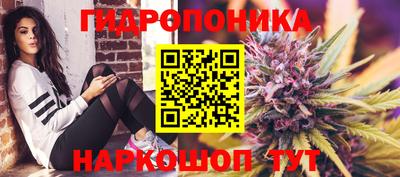 jwh Апшеронск