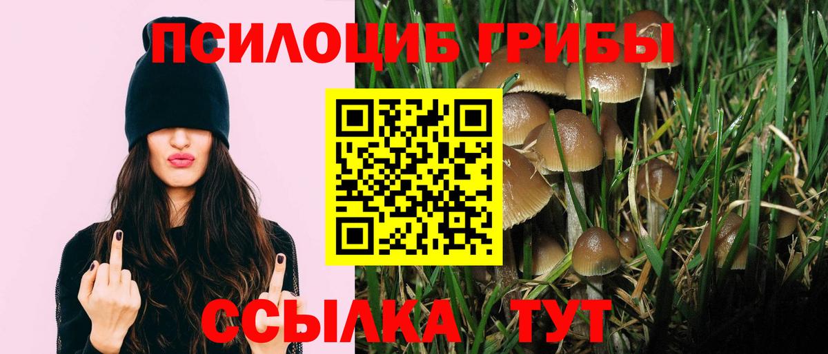 Кизилюрт  Галлюциногенные грибы Psilocybe  купить наркотики сайты  Вход с VPN 