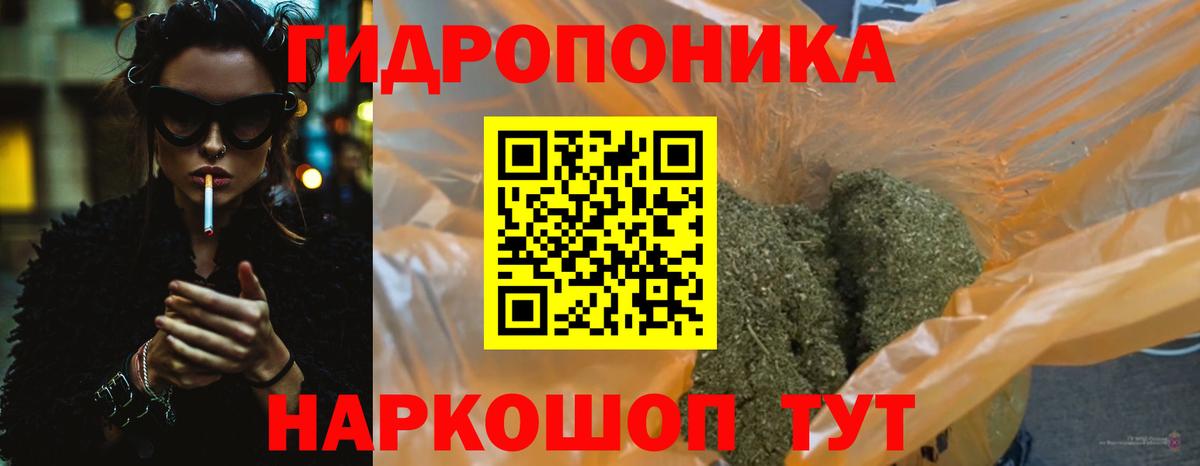 Конопля план Кизилюрт